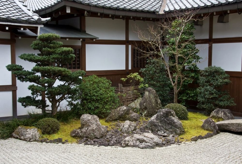 Coin zen jardin japonais